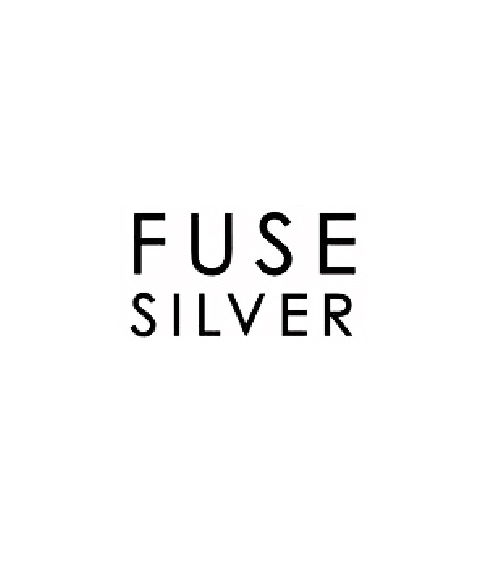 Fuse Silver Logo