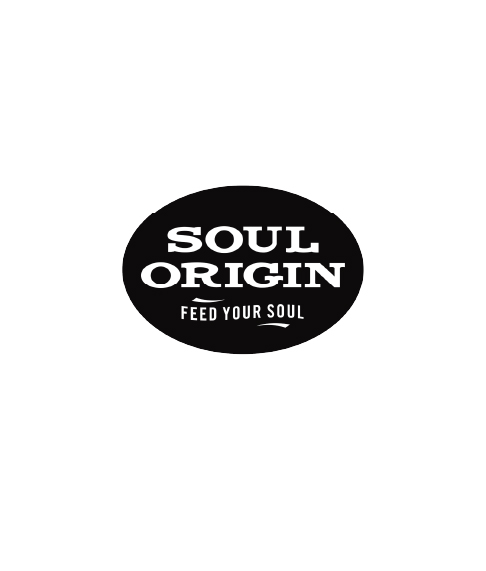 Soul Origin Logo